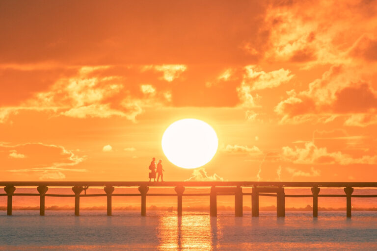 내일은 내일의 태양이 뜰 것이다.